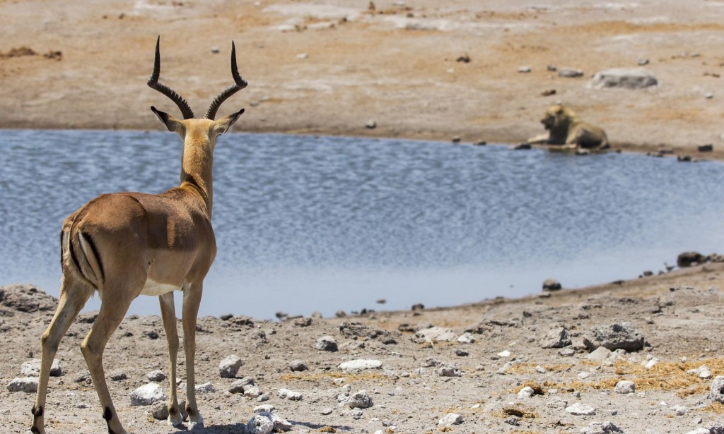 Possible Ways of Water Conservation