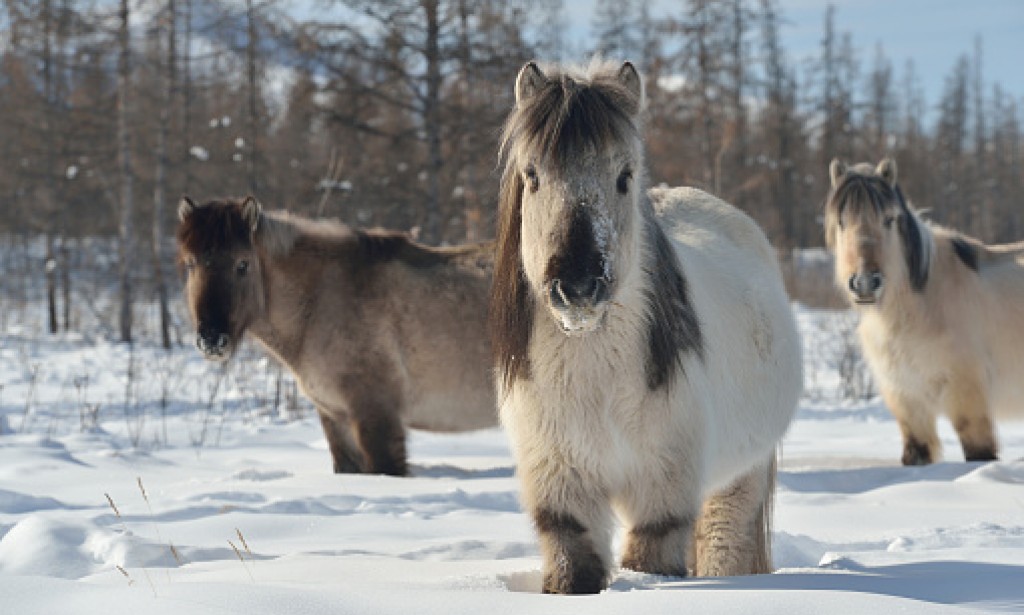 A trip to Yakutia (republic of Sakha)