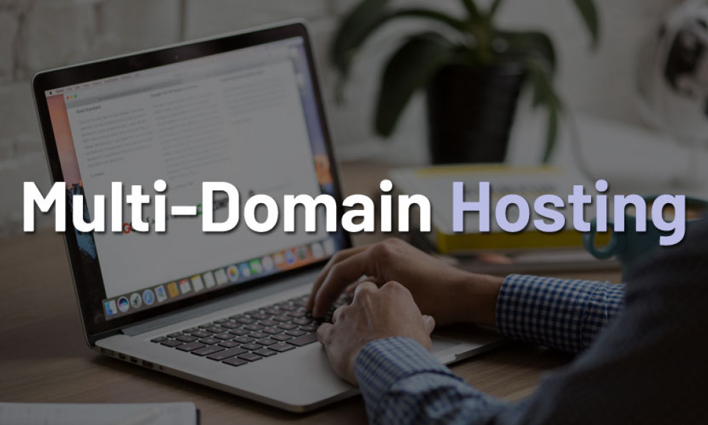 Have a glimpse at Multiple domain hosting!