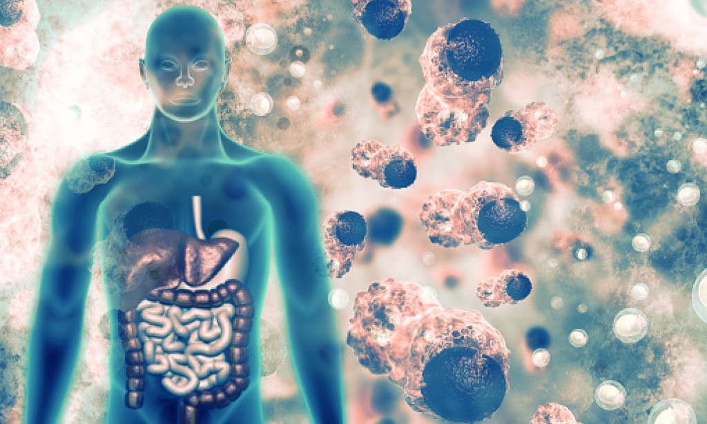 Detoxification with Yoga, Is it a reality?