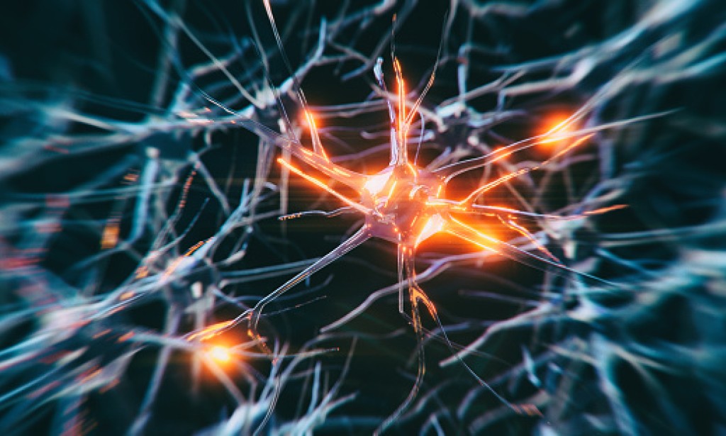 Memory loss and possible practices to improve your memory