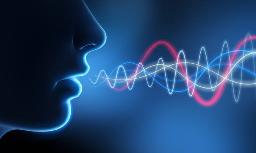 The Complex Relationship Between Animals and Human Language