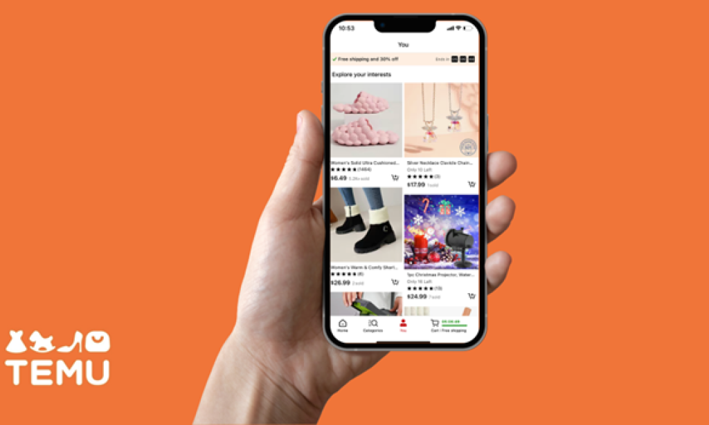 Temu: A New Way to Earn Money
