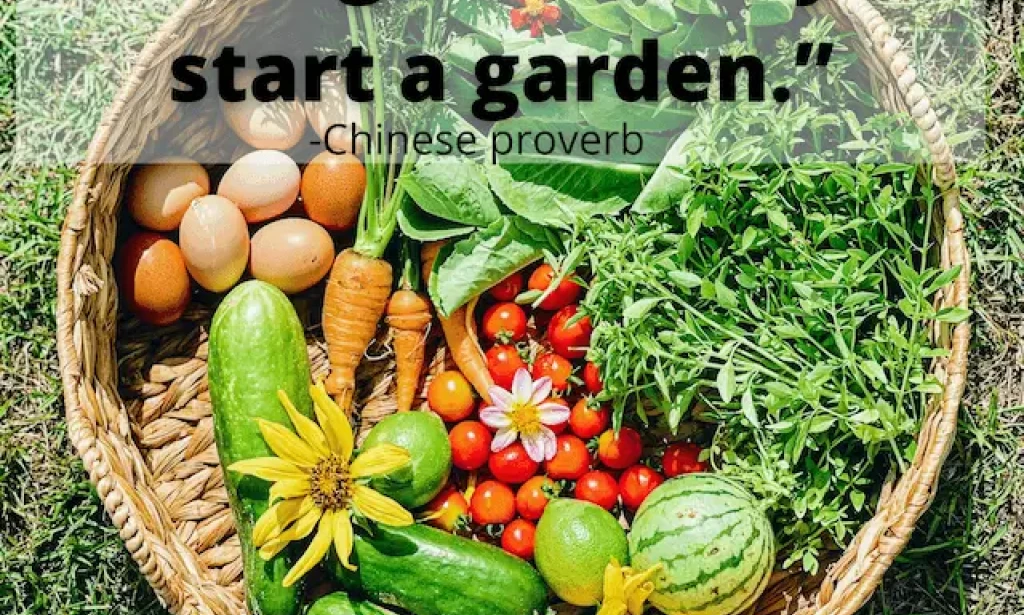 The Art of Gardening and Landscaping: How to Create a Tranquil Outdoor Oasis