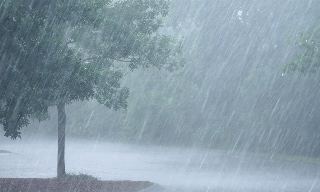 The Positive Impact of Heavy Rainfall: Nurturing Earth's Vitality