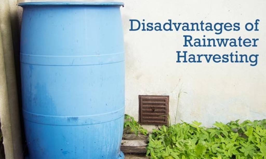 Disadvantages of Rainwater Harvesting: Examining the Limitations