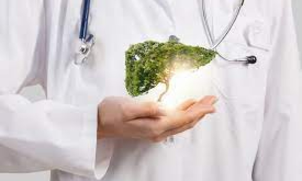 Essential Liver Care: Nurturing Your Body's Vital Organ