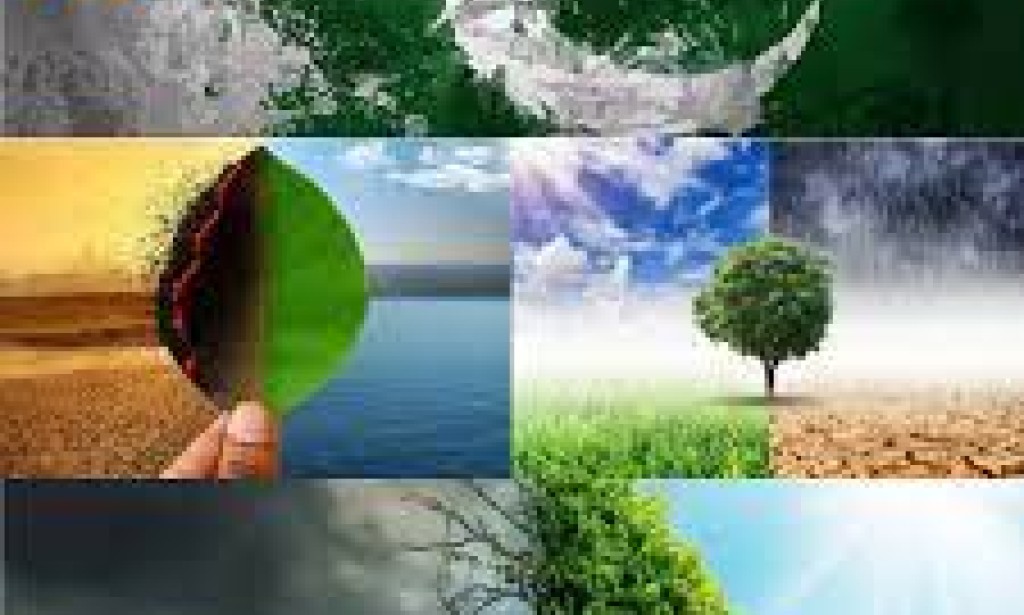 Navigating Climate Change Challenges: Pakistan's Journey Towards Resilience