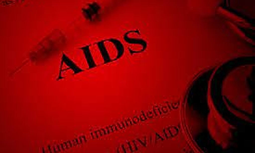 Understanding AIDS: Past, Present, and Future Perspectives