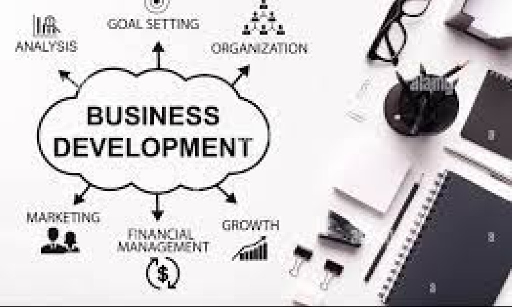 Navigating Growth: The Role of a Business Development Board