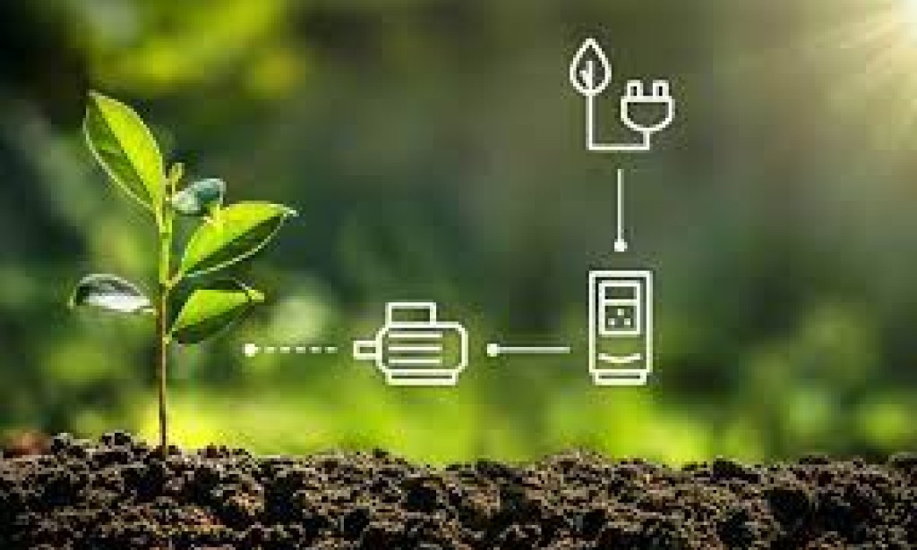 Energizing Business Efficiency: The Role of Energy Advisors