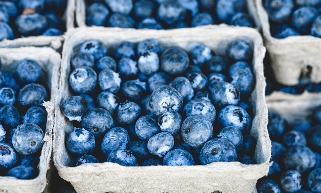 Unveiling the Wellness Wonders of Blueberries: A Personal Exploration into Nature's Nutrient-Rich Gems