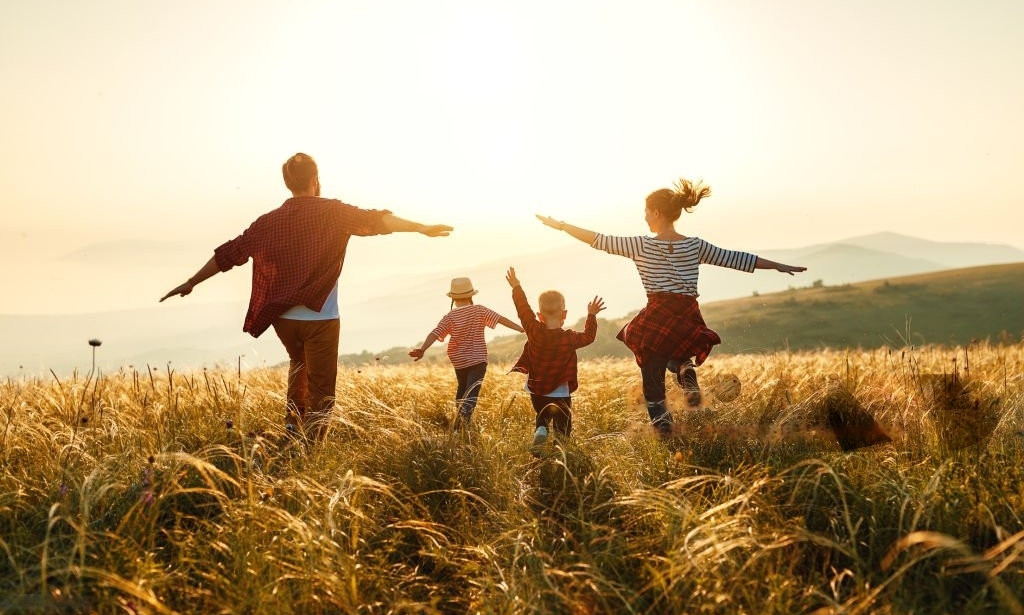 Meaning of life Analyzing the Extensive Search for Life's Meaning