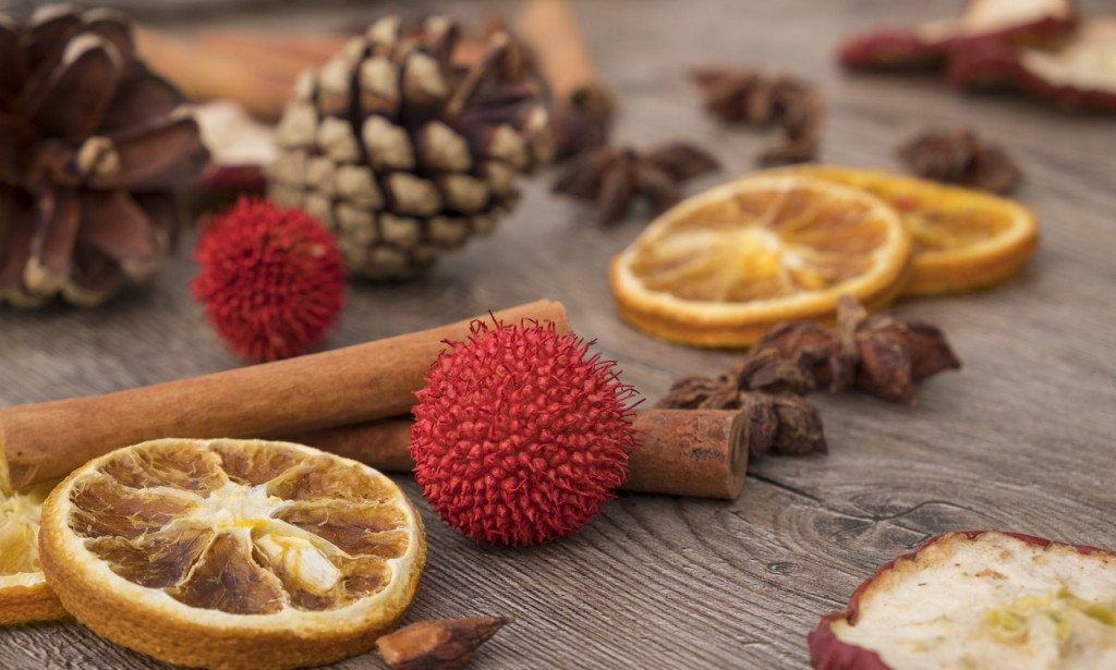 Uncovering the Ageless Class and Wholesome Magnificence of Dry Organic products