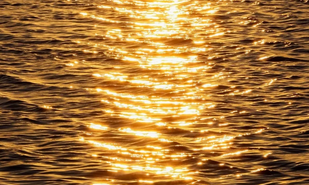 Investigating the Logical Embroidery in Our Day to day Lives