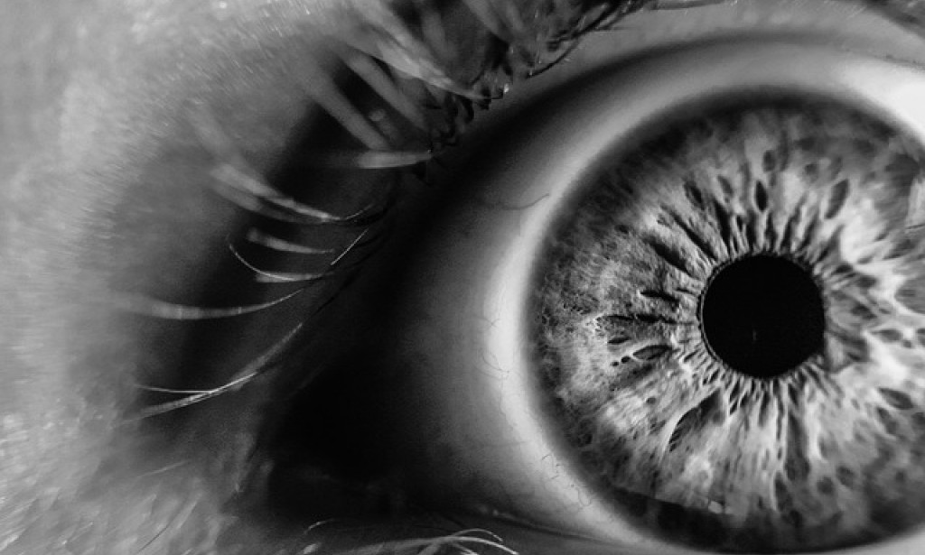 Protecting Your Vision: Understanding and Forestalling Eye Bothering