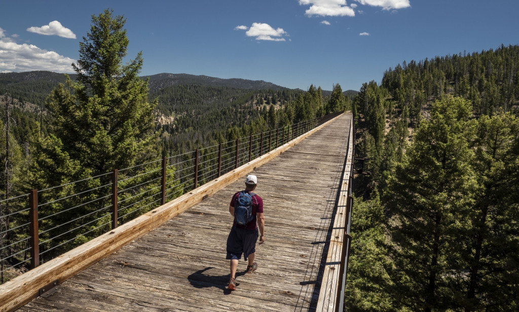 Threaded Networks: Exploring the Artistry in the Embroidery of Connections