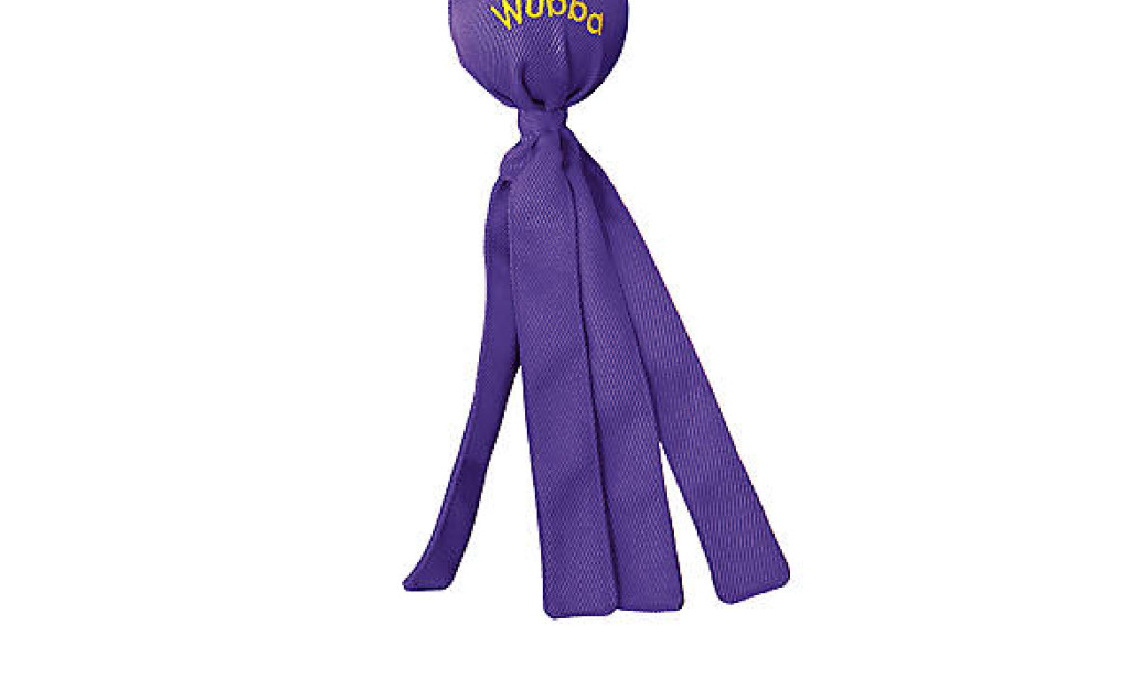 The Kong Wubba Toy