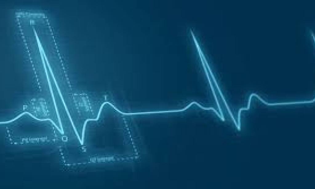 Breakthrough Discoveries: Science Highlights of January 2024  The first month of the year has traditionally been a time for quiet reflection and resolutions. But for the world of science,