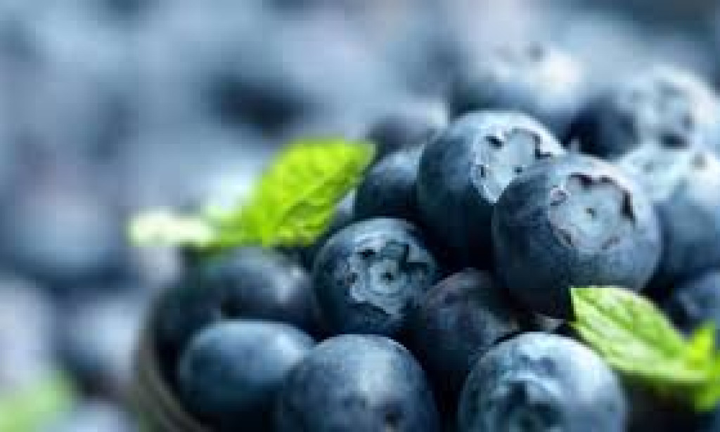 The Impact of Nutrient-Rich Diets on Pregnancy