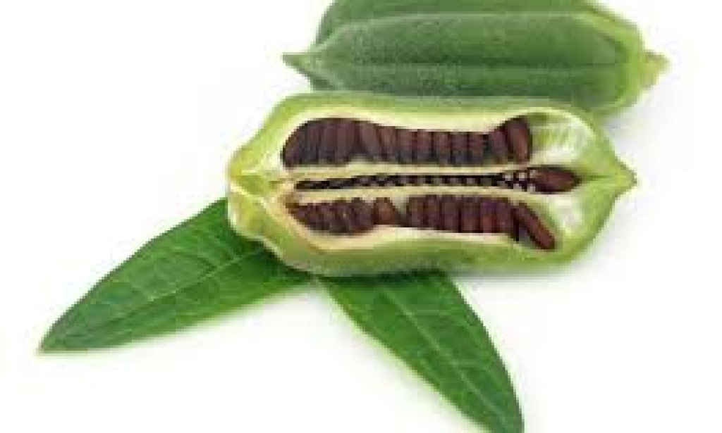 Are Sesame Seeds a Superfood? Health Benefits Explained by a Nutritionist