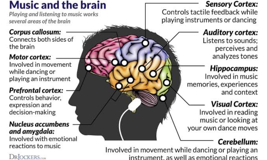 Q&A: How Music Can Cultivate a Healthy Brain?