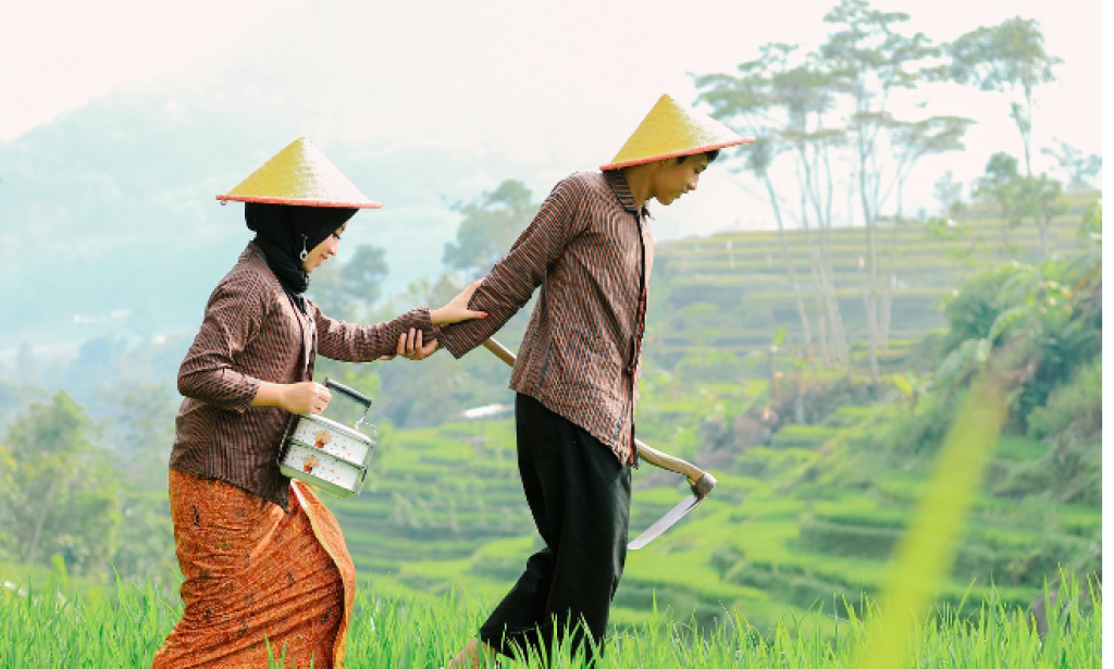 Exploring the SLS Lifestyle: 10 Guidelines to Navigate with Confidence