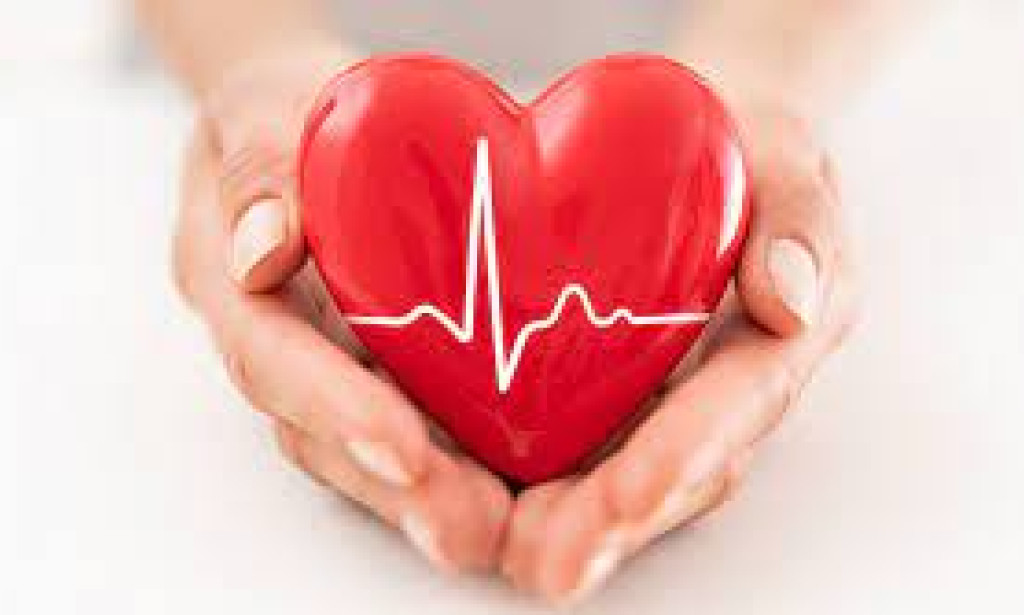 Nurturing the Mind: A Holistic Approach to Mental Health