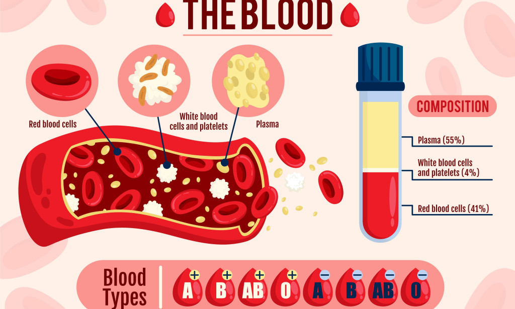 "Understanding Blood Groups and Types: A Complete Guide
