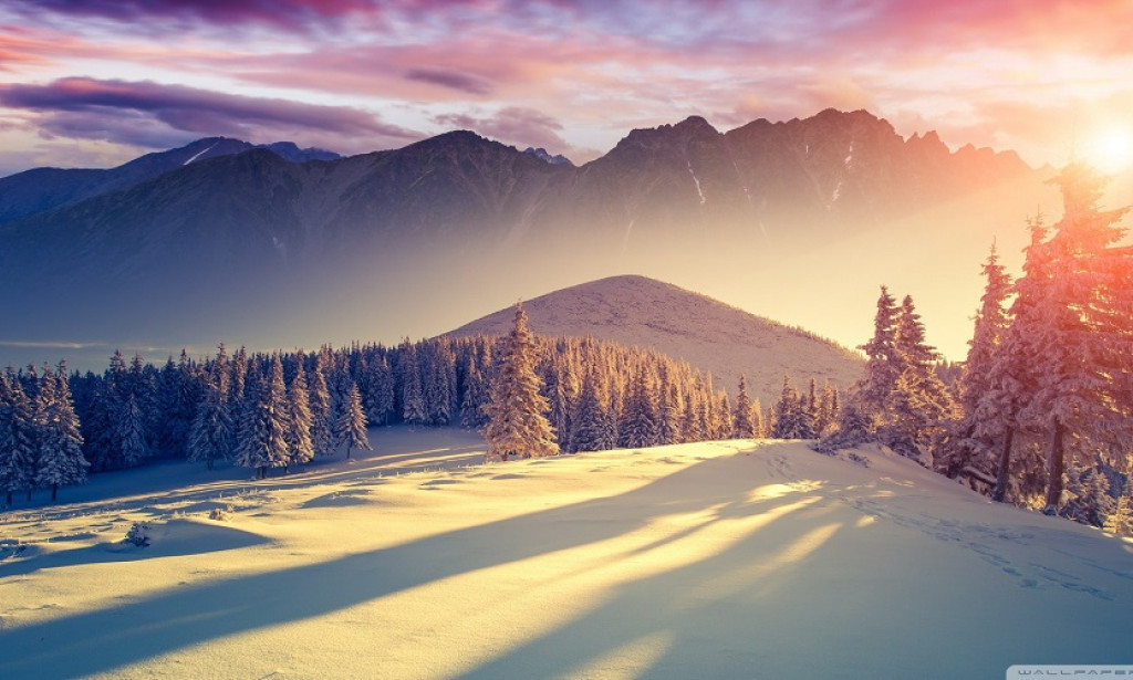 Winter Garments, Hold the Snow: Embracing Style in a Snowless December