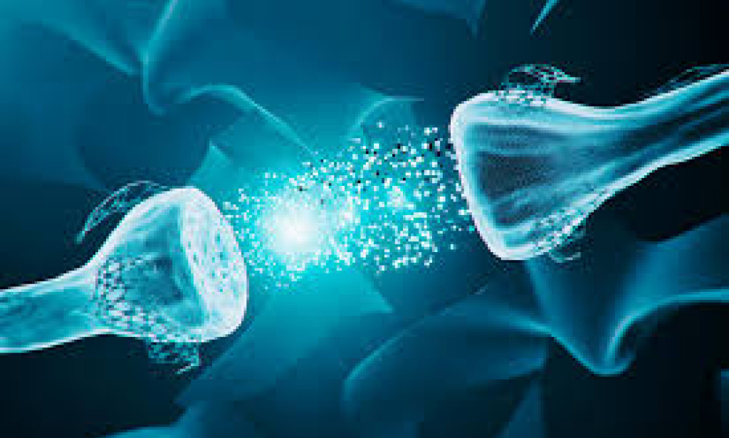 Study reveals function of little-understood synapse in the brain