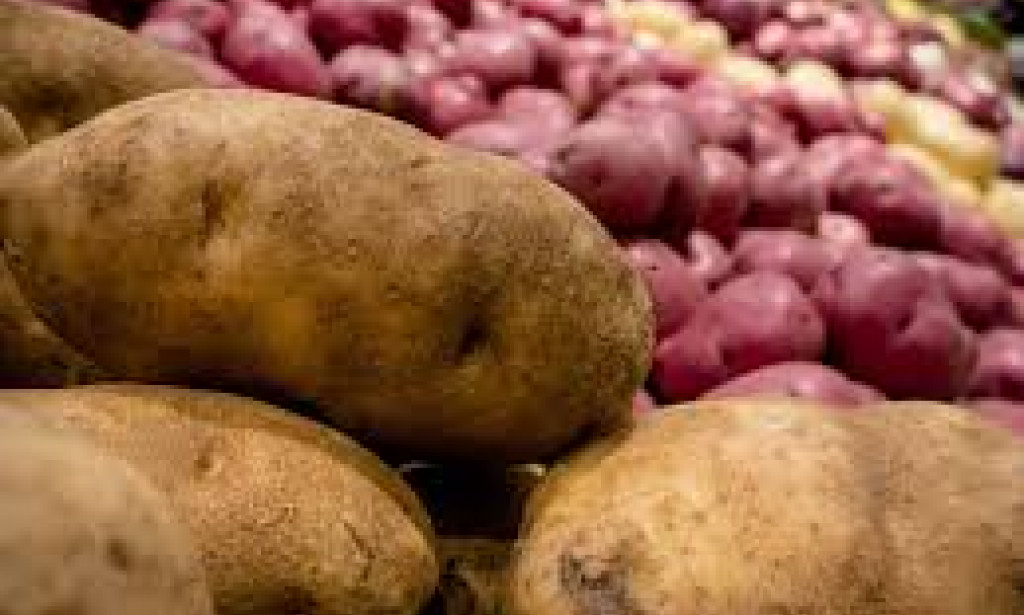 USDA scientists work to ensure nutritious and high-quality potatoes are available all year round