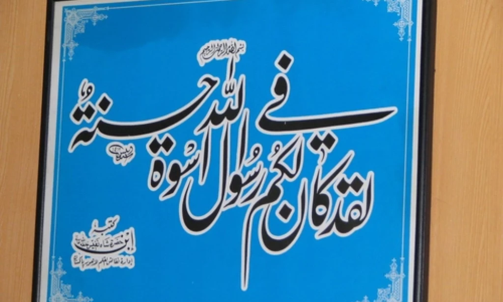 The Immortal Meaning of Urdu: A Language That Rises above Fields