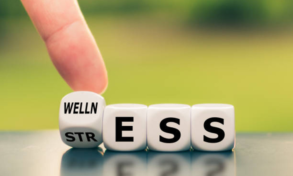 **"From Stress to Serenity: Systems for a Tranquil and Sound Presence"**