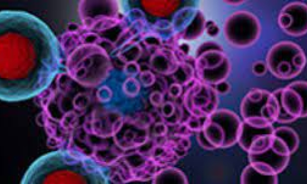 Concordance Inside: Investigating the Urgent Job of Microorganisms in Human Wellbeing