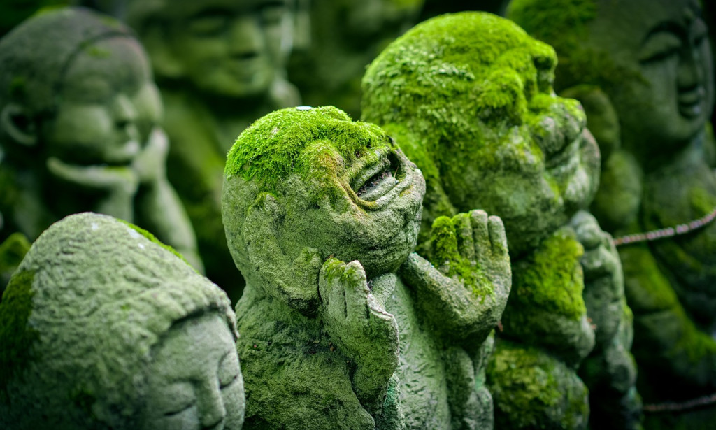 Investigating Celebrations All over the Planet: A Worldwide Festival of Culture**