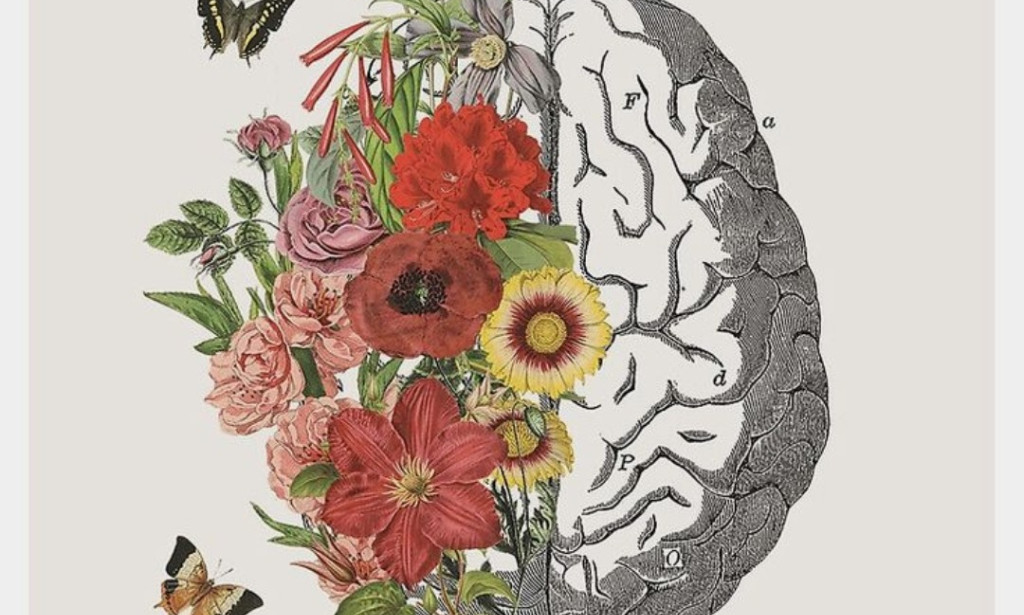 Unraveling the  complex web  of  psycholoGy and it's disorders