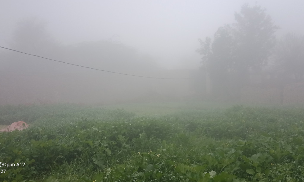 Child vaping understanding popularity, health issues, awareness