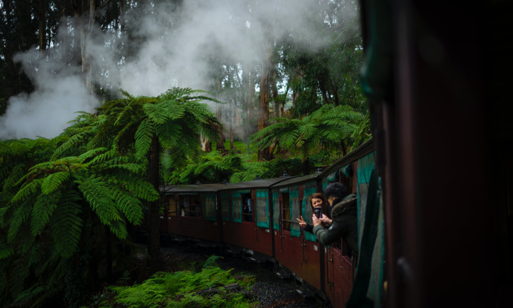 Nature's Embrace for Health and Happiness in our daily lives