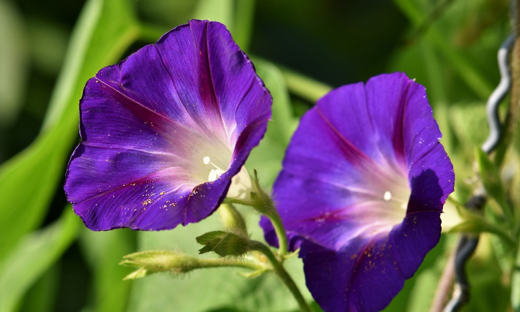 Creating a Groundbreaking Morning Schedule: Building the Establishment for a Solid Way of life