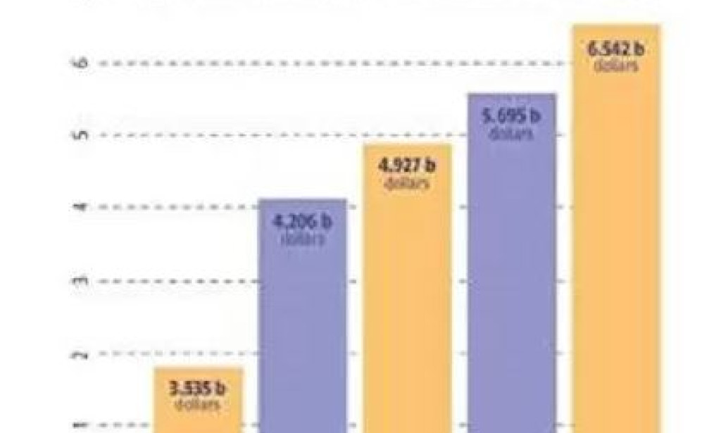 The E-commerce Boom: Anticipating Substantial Growth in Pakistan by 2025