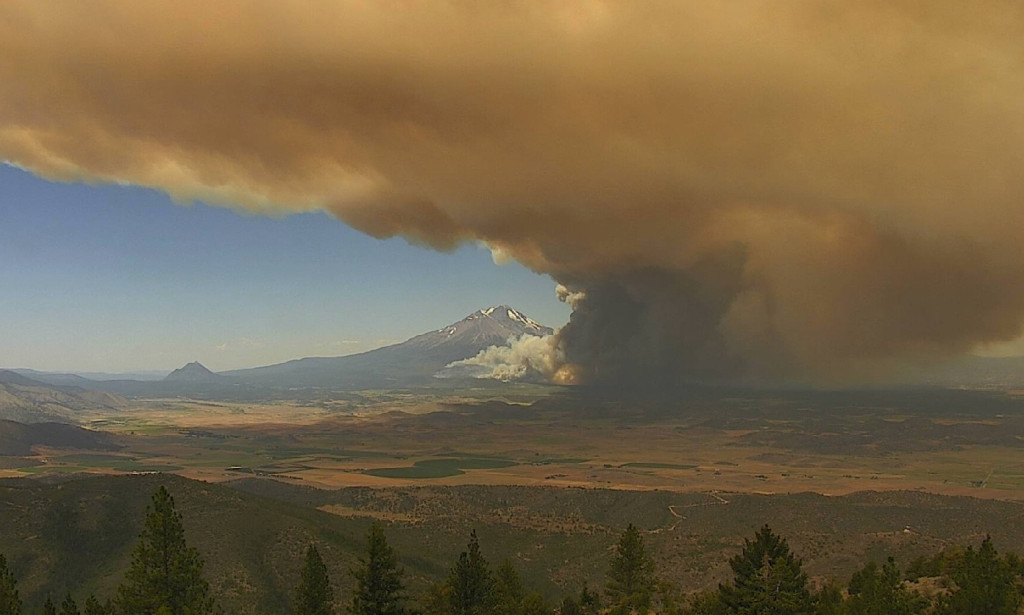 Optimal Temperature for Thriving Amidst the Global Warming Challenge