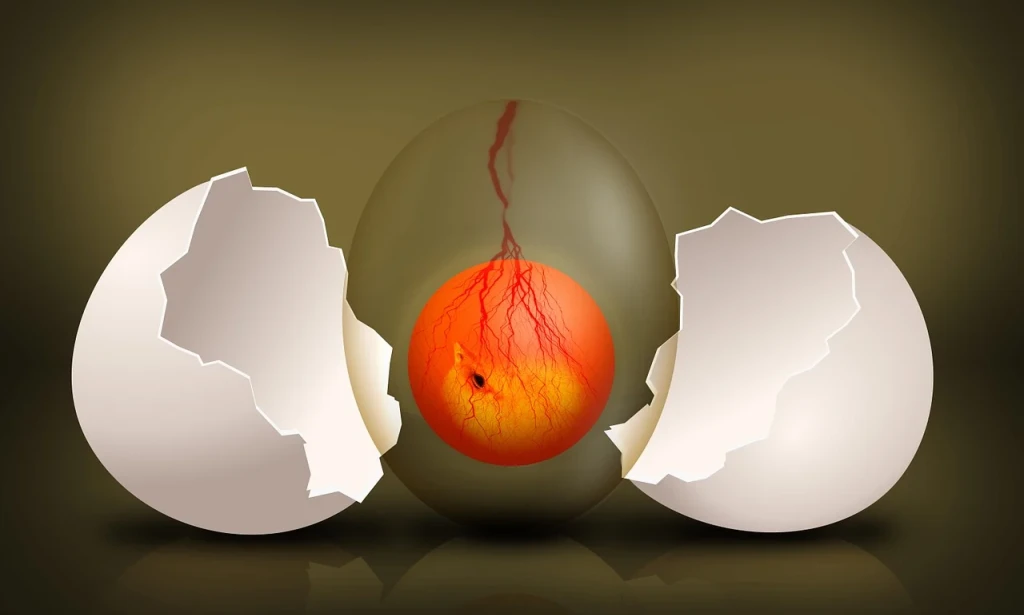 Unscrambling the Truth: Are Eggs Good for Heart Patients?