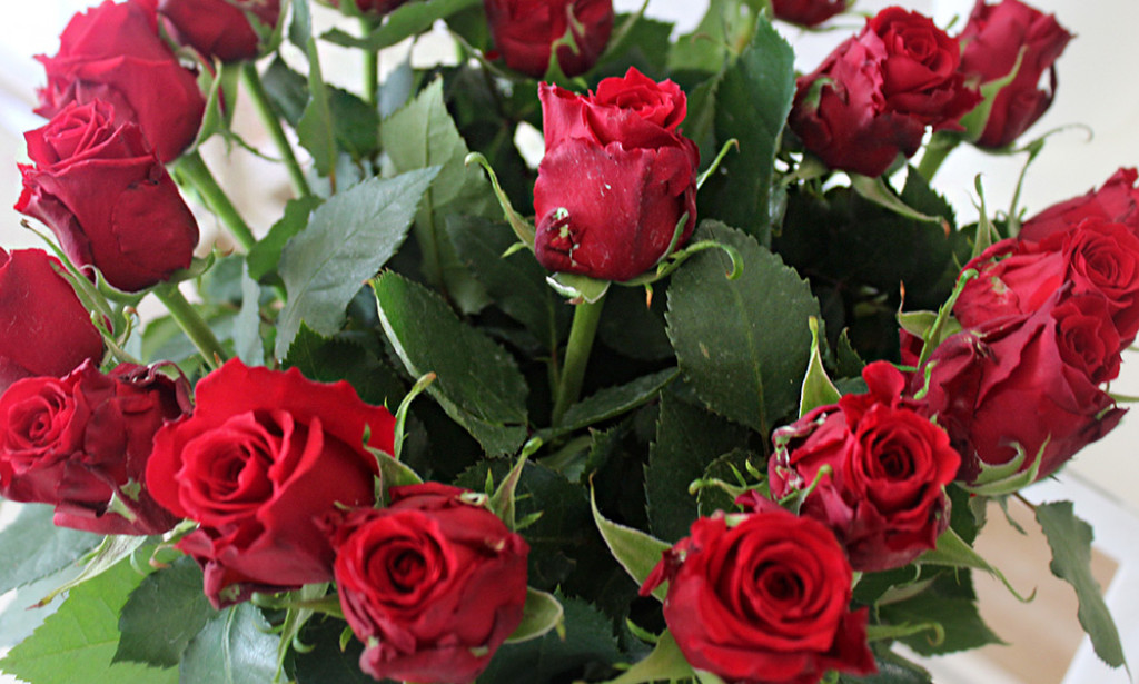 Flowers/Flowers are one of nature's most beautiful creations, captivating us with their colors, shapes, and fragrances.