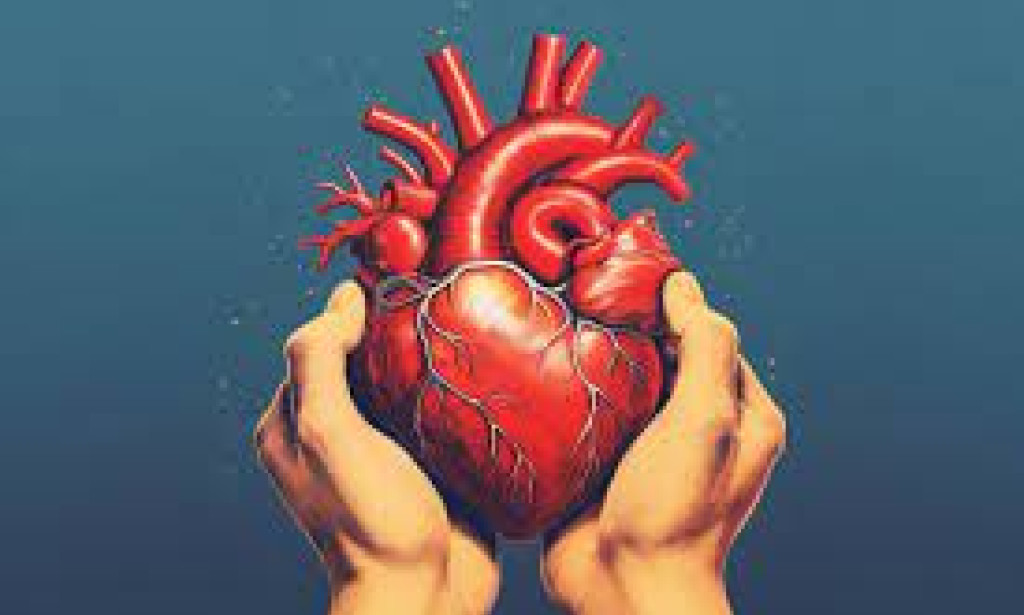 Unlocking the Key to a Sound Heart: A Far reaching Guide