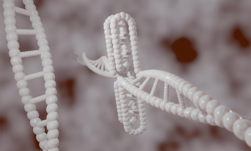 Topic:Bioinformatics: Reforming Organic Information Examination