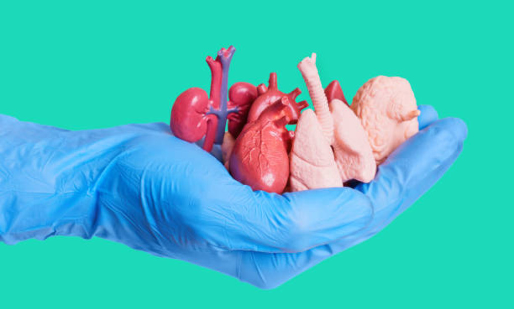 Reforming Medical care: The Commitment of Cell and Tissue Designing