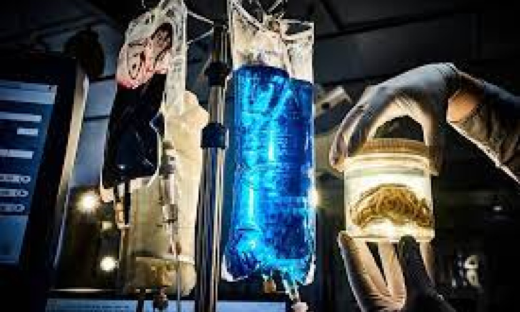 Uncovering the Miracles: Investigating the Wonders of Science Galleries