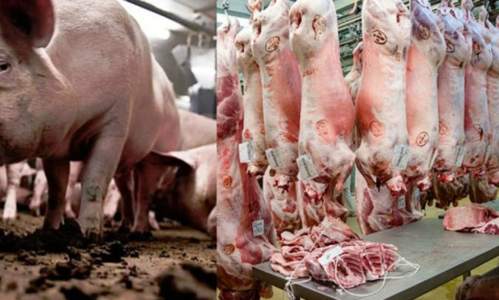 Why is it forbidden to be ?? بچ In childhood we had heard from the elders that the person is forbidden, but whenever he should ask, he could not explain because he did not have research, jus