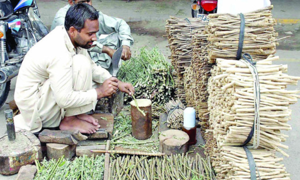 How valuable is the utilization of Miswak in Ramadan?   Research has distinguished 19 regular substances found in miswak.